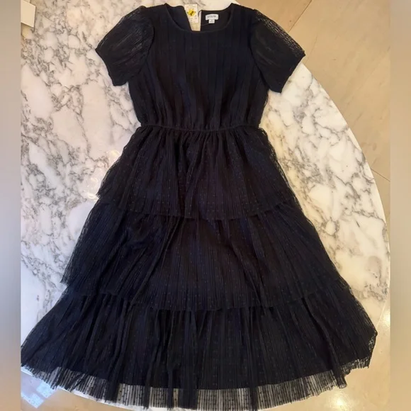 NWT J. CREW FACTORY Pleated flock-dot puff-sleeve dress black tulle Sold Out Sz2 - Picture 5 of 7